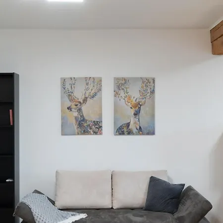 Birkenhof Apartmán *